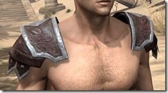 Imperial-Full-Leather-Arm-Cops-Male-Front_thumb.jpg