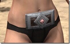 Imperial-Full-Leather-Belt-Female-Front_thumb.jpg