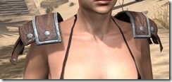 Imperial-Hide-Arm-Cops-Female-Front_thumb.jpg