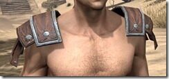 Imperial-Hide-Arm-Cops-Male-Front_thumb.jpg