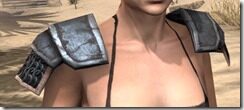 Imperial-Iron-Pauldrons-Female-Front_thumb.jpg