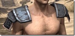 Imperial-Iron-Pauldrons-Male-Front_thumb.jpg