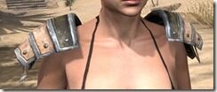 Imperial-Leather-Arm-Cops-Female-Front_thumb.jpg