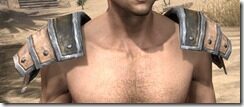 Imperial-Leather-Arm-Cops-Male-Front_thumb.jpg
