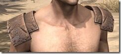 Imperial-Rawhide-Arm-Cops-Male-Front_thumb.jpg