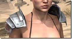 Imperial-Steel-Pauldrons-Female-Front_thumb.jpg