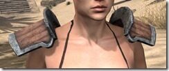 Khajiit-Hide-Arm-Cops-Female-Front_thumb.jpg