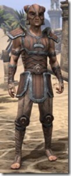 Khajiit-Hide-Male-Front_thumb.jpg