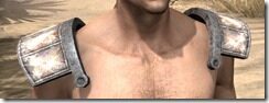 Khajiit-Homespun-Epaulets-Male-Front_thumb.jpg