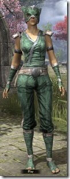 Khajiit-Homespun-Shirt-Female-Front_thumb.jpg