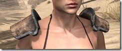 Khajiit-Rawhide-Arm-Cops-Female-Front_thumb.jpg