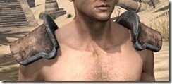 Khajiit-Rawhide-Arm-Cops-Male-Front_thumb.jpg