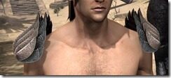 Pyandonean-Rawhide-Arm-Cops-Male-Front_thumb.jpg