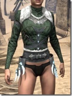 Stahlrim-Frostcaster-Homespun-Jerkin-Female-Front_thumb.jpg