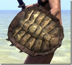 Argonian-Oak-Shield-2_thumb.jpg