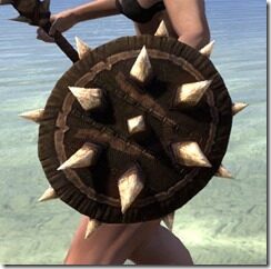 Barbaric-Beech-Shield-2_thumb.jpg