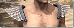 Khajiit-Cotton-Epaulets-Male-Front_thumb.jpg