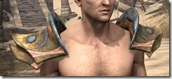 Khajiit-Dwarven-Pauldron-Male-Front_thumb.jpg
