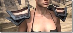 Khajiit-Full-Leather-Arm-Cops-Female-Front_thumb.jpg