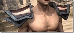 Khajiit-Full-Leather-Arm-Cops-Male-Front_thumb.jpg
