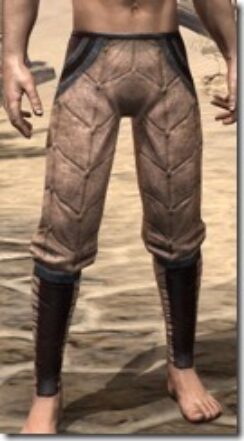 Khajiit-Full-Leather-Guards-Male-Front_thumb.jpg