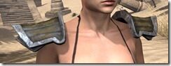 Khajiit-Leather-Arm-Cops-Female-Front_thumb.jpg