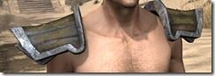 Khajiit-Leather-Arm-Cops-Male-Front_thumb.jpg
