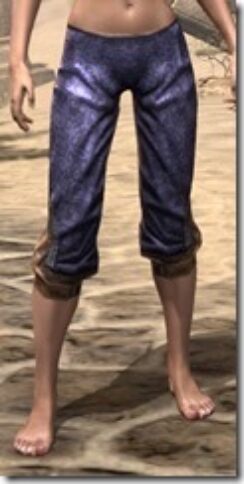 Khajiit-Spidersilk-Breeches-Female-Front_thumb.jpg