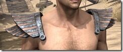 Khajiit-Spidersilk-Epaulets-Male-Front_thumb.jpg