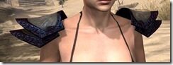 Lich-Light-Epaulets-Female-Front_thumb.jpg