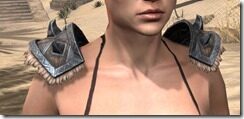 Malacath-Iron-Pauldron-Female-Front_thumb.jpg