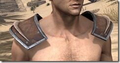 Malacath-Rawhide-Arm-Cops-Male-Front_thumb.jpg