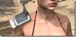Mercenary-Iron-Pauldron-Female-Front_thumb.jpg
