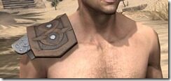 Mercenary-Rawhide-Arm-Cops-Male-Front_thumb.jpg