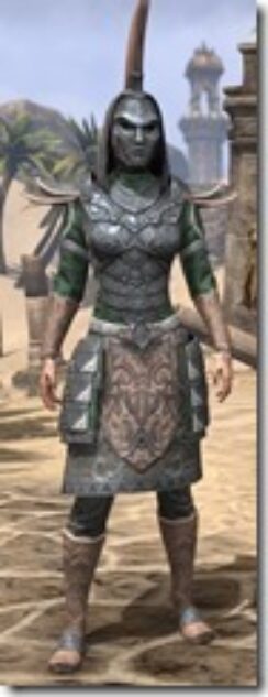 Militant-Ordinator-Homespun-Female-Shirt-Front_thumb.jpg