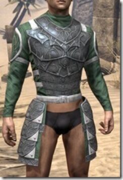 Militant-Ordinator-Homespun-Jerkin-Male-Front_thumb.jpg
