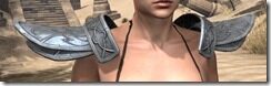 Militant-Ordinator-Iron-Pauldron-Female-Front_thumb.jpg