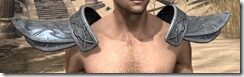 Militant-Ordinator-Iron-Pauldron-Male-Front_thumb.jpg