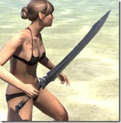 Militant-Ordinator-Iron-Sword-2_thumb.jpg