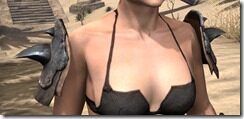 Morag-Tong-Rawhide-Arm-Cops-Female-Front_thumb.jpg