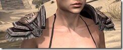 Nord-Full-Leather-Arm-Cops-Female-Front_thumb.jpg