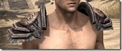 Nord-Full-Leather-Arm-Cops-Male-Front_thumb.jpg
