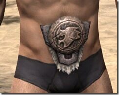 Nord-Full-Leather-Belt-Male-Front_thumb.jpg