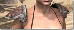 Nord-Hide-Arm-Cops-Female-Front_thumb.jpg