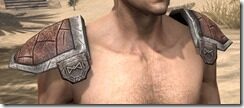 Nord-Hide-Arm-Cops-Male-Front_thumb.jpg