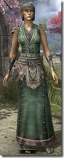 Nord-Homespun-Robe-Female-Front_thumb.jpg