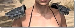 Nord-Iron-Pauldron-Female-Front_thumb.jpg
