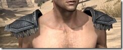 Nord-Iron-Pauldron-Male-Front_thumb.jpg