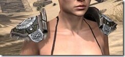 Nord-Leather-Arm-Cops-Female-Front_thumb.jpg