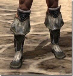 Nord-Leather-Boots-Male-Front_thumb.jpg